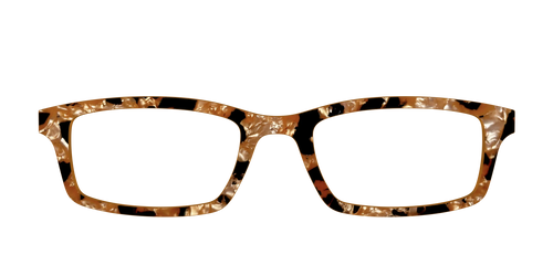 The Caramel Pearl Tortoise