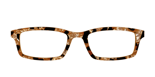 The Caramel Pearl Tortoise