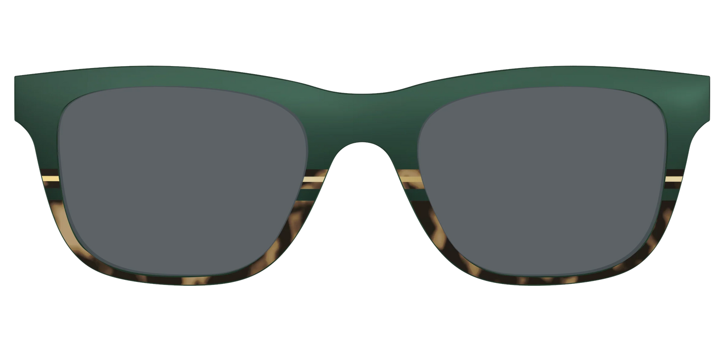 The Polarized Spruce Tortoise Sun Top