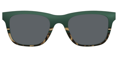 The Polarized Spruce Tortoise Sun Top