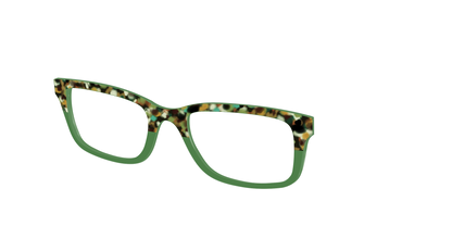 The Forest Tortoise Crystal Split