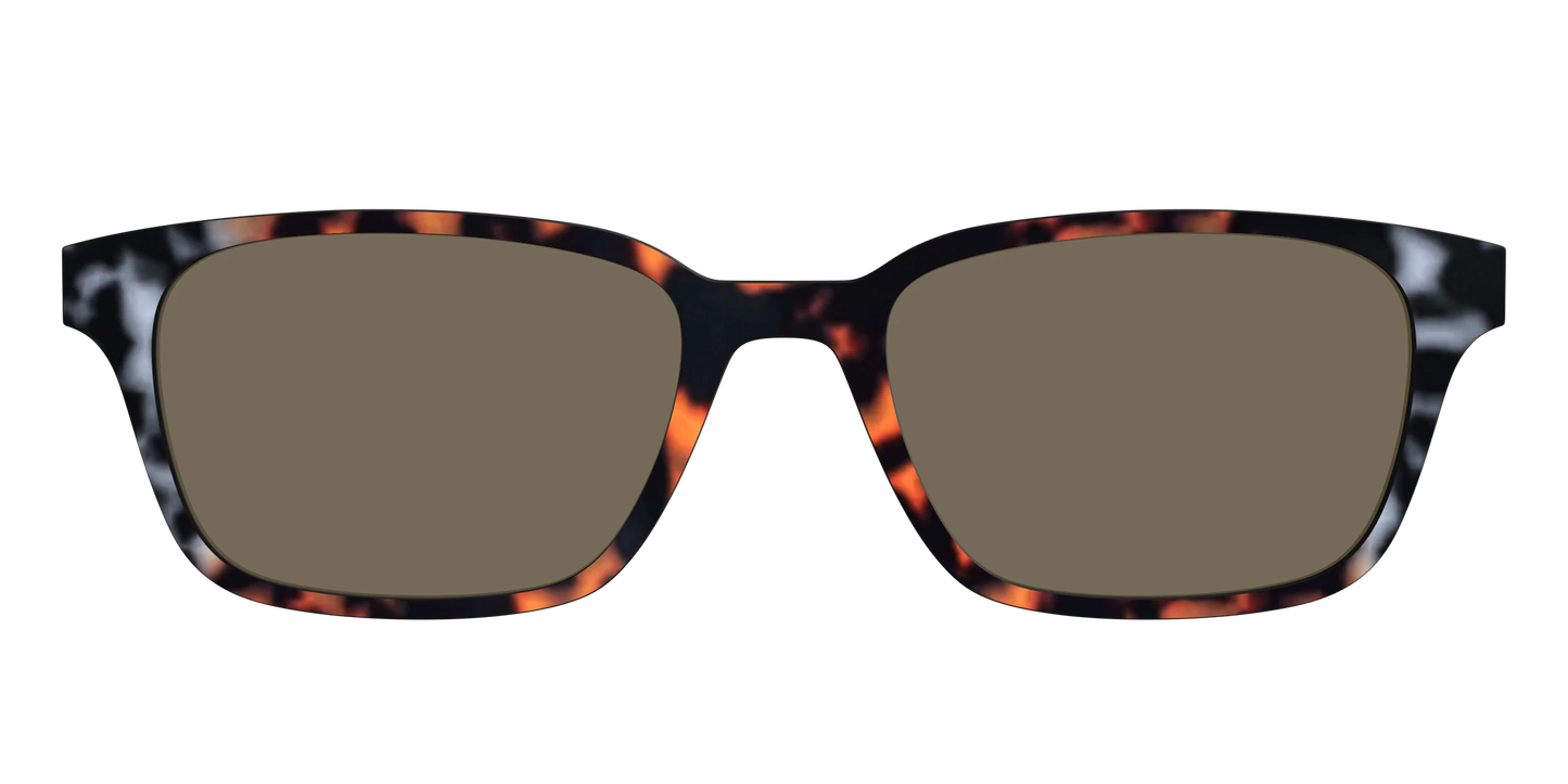 The Polarized Gray & Amber Tortoise Sun Top
