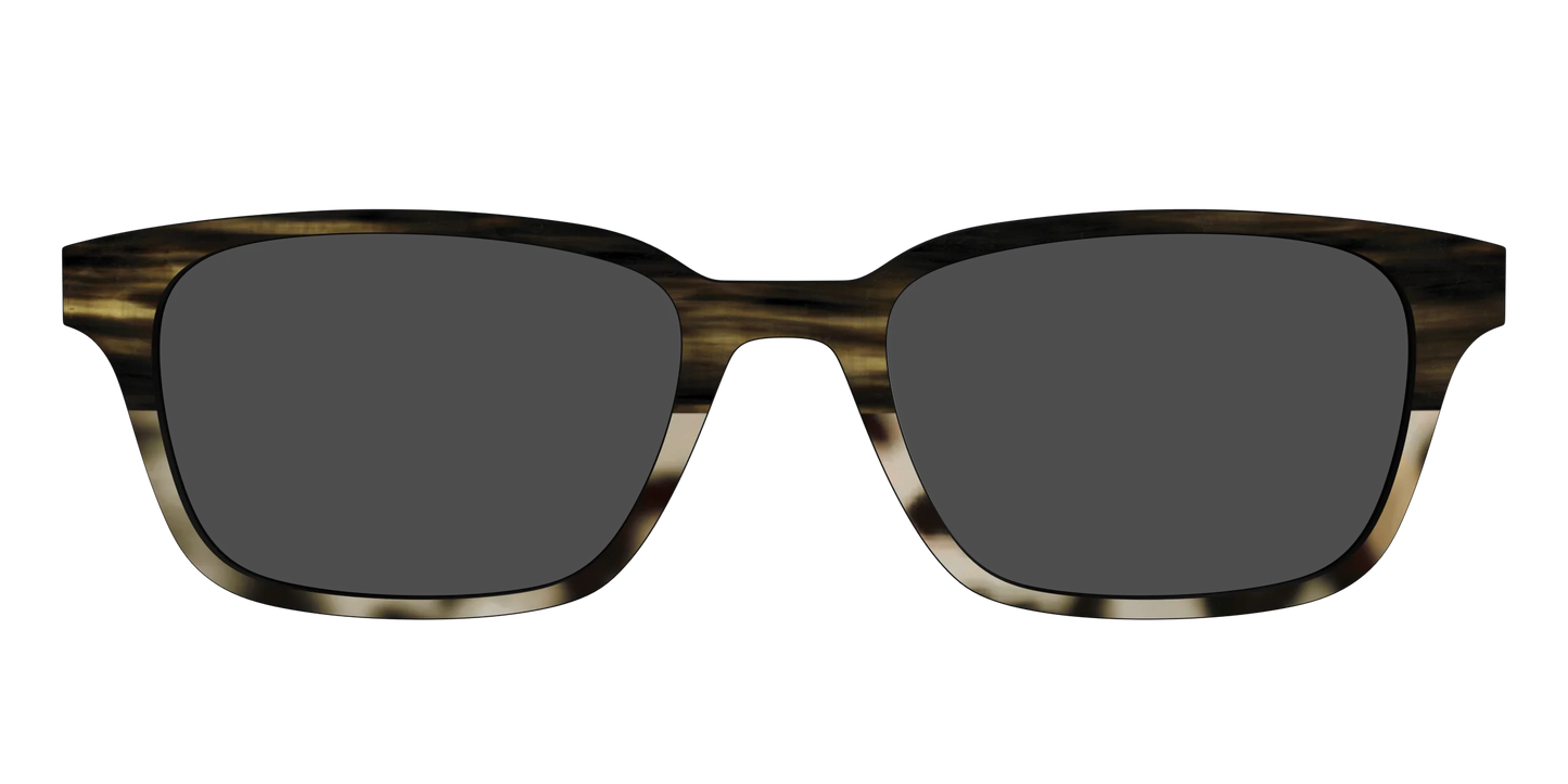 The Polarized Horn Tortoise Sun Top