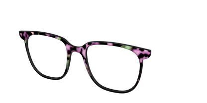 The Boysenberry Tortoise