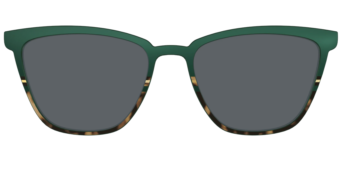 The Polarized Spruce Tortoise Sun Top