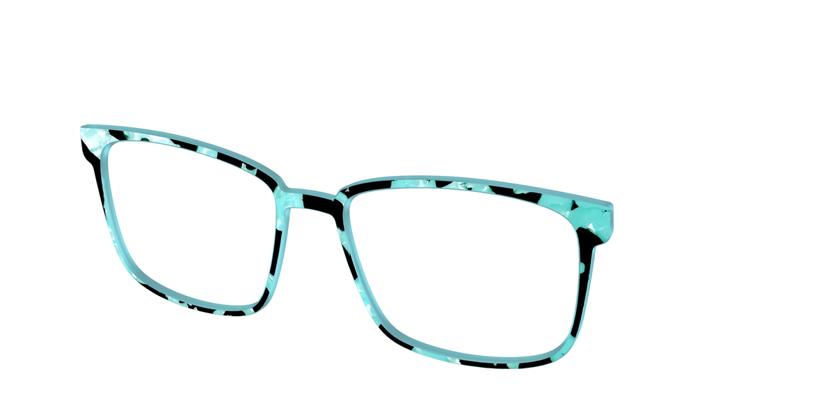 The Robin's Egg Pearl Tortoise