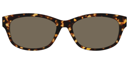 The Non-Polarized Tortoise Sun Top