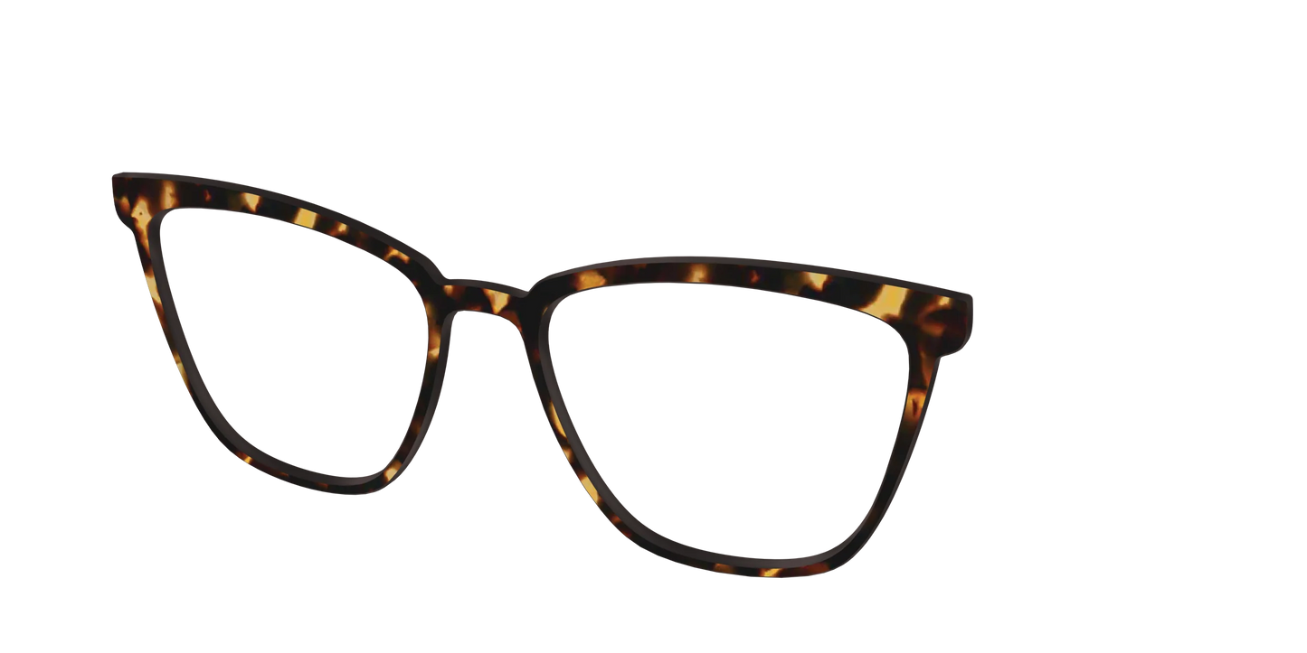 The Tortoise