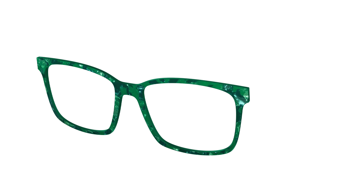 The Emerald Pearl Tortoise