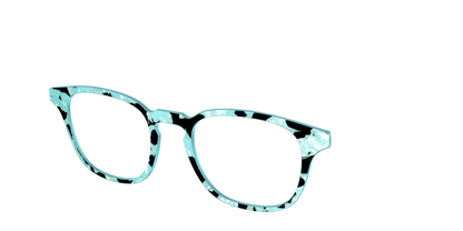 The Robin's Egg Pearl Tortoise