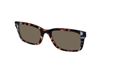The Polarized Gray & Amber Tortoise Sun Top