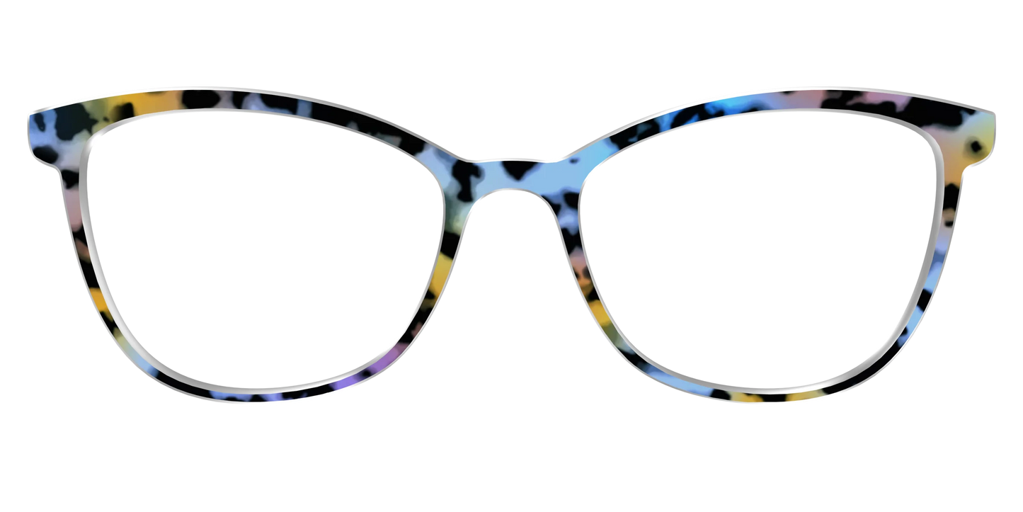 The Positano Tortoise