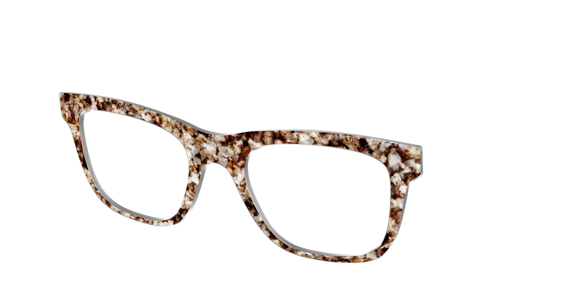 The Sandstone Tortoise