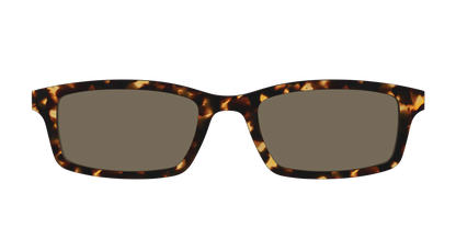 The Non-Polarized Tortoise Sun Top