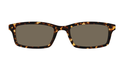 The Non-Polarized Tortoise Sun Top