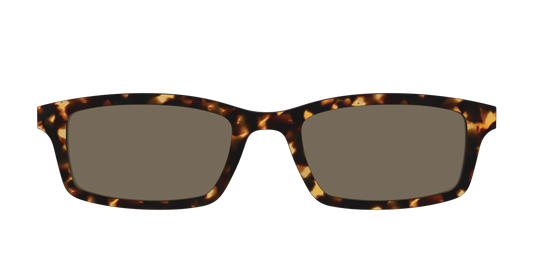 The Non-Polarized Tortoise Sun Top
