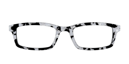 The Black & White Pearl Tortoise