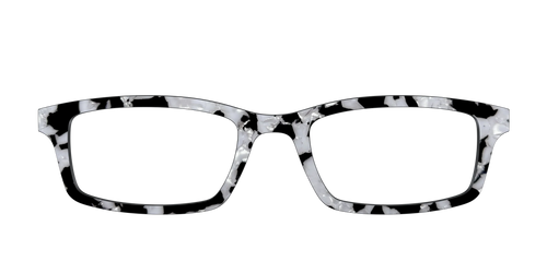 The Black & White Pearl Tortoise