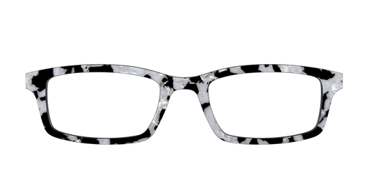 The Black & White Pearl Tortoise