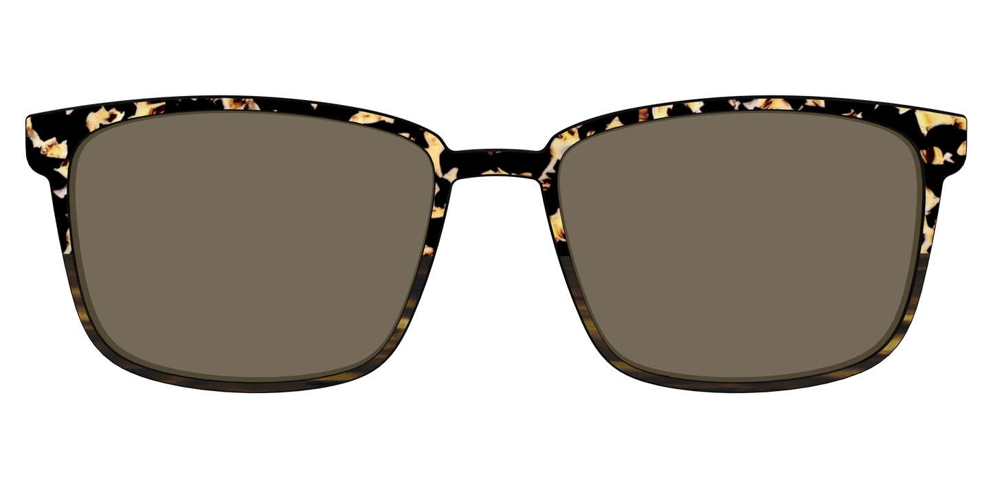The Polarized Caramel Tortoise Horn Split Sun Top