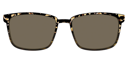 The Polarized Caramel Tortoise Horn Split Sun Top