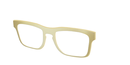 The Gold Mirror