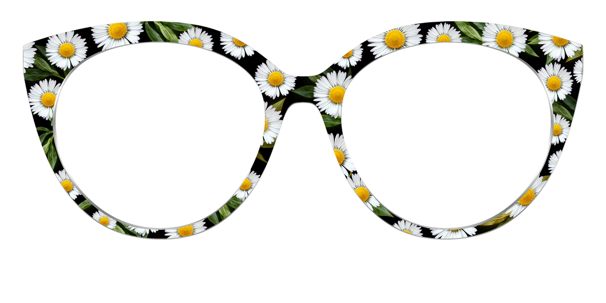 The Delicate Daisies