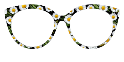 The Delicate Daisies