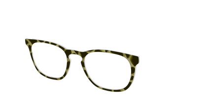 The Olive Tortoise