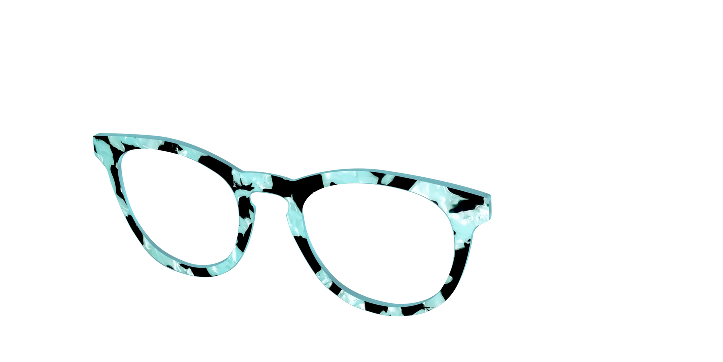 The Robin's Egg Pearl Tortoise