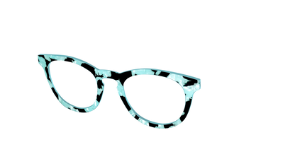The Robin's Egg Pearl Tortoise