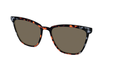 The Polarized Gray & Amber Tortoise Sun Top