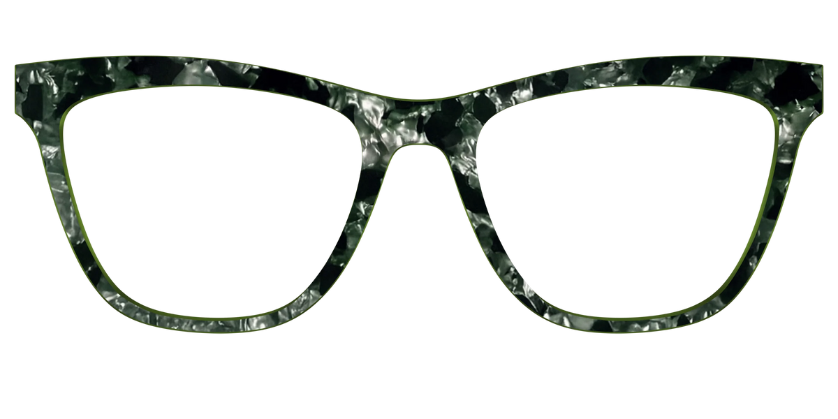 The Olive Pearl Tortoise