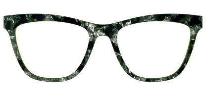 The Olive Pearl Tortoise