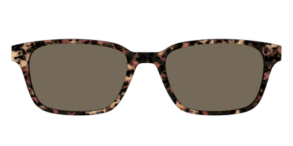 The Polarized Sienna Tortoise Sun Top