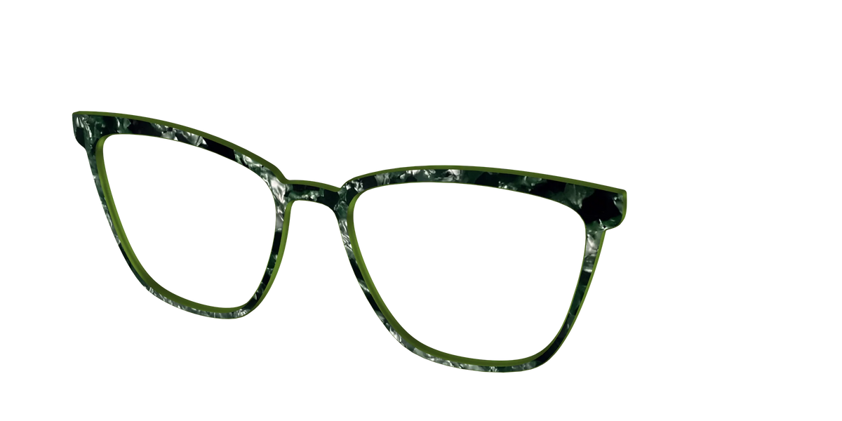 The Olive Pearl Tortoise