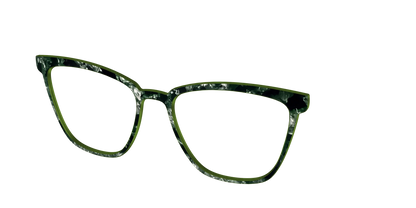 The Olive Pearl Tortoise
