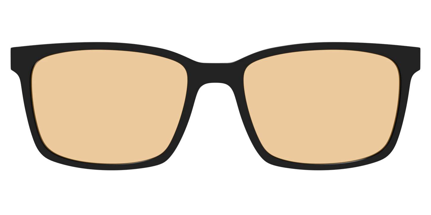 The Black With Umber Brown Lens
