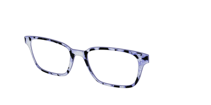 The Lilac Pearl Tortoise