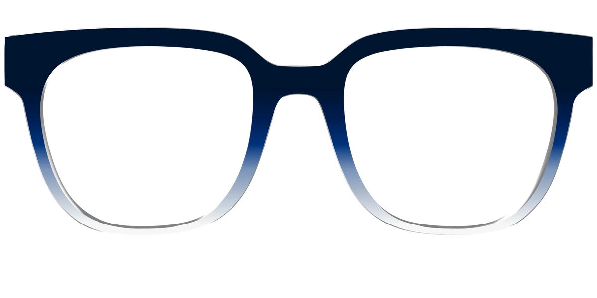The Navy to White Gradient