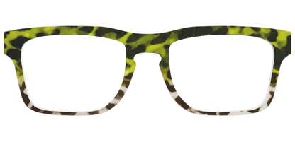 The Avocado to Ivory Tortoise