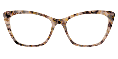 The Almond Tortoise with Gold Streaks