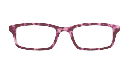 The Maroon Tortoise