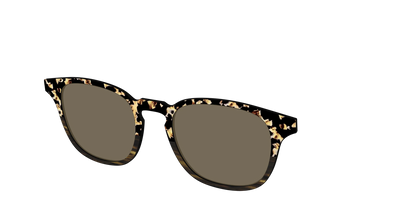 The Polarized Caramel Tortoise Horn Split Sun Top