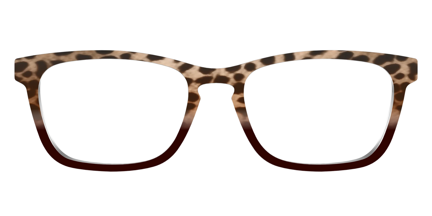 The Jungle Cat Tortoise
