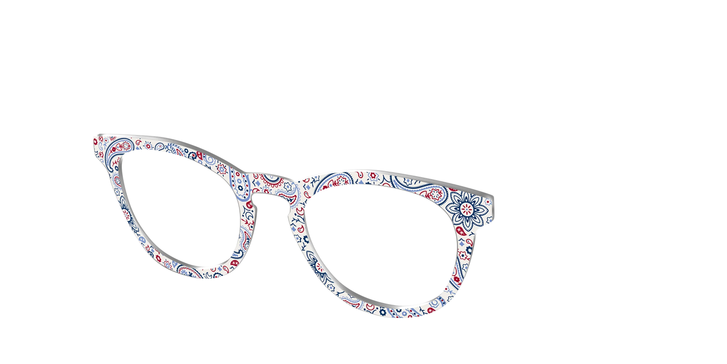 The Picnic Paisley