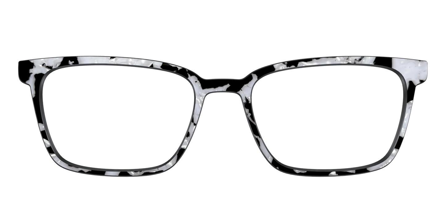 The Black & White Pearl Tortoise