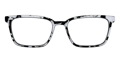 The Black & White Pearl Tortoise