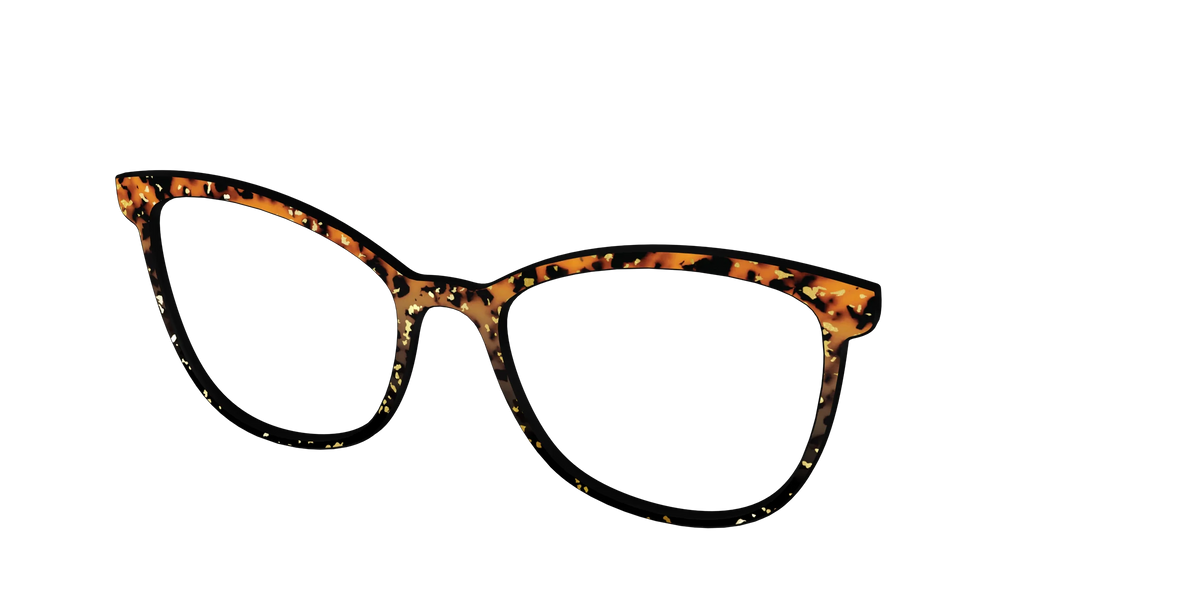 The Rustic Gold Leaf Tortoise