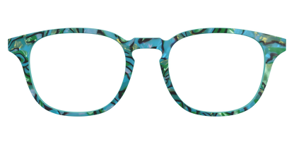 The Teal Turbo Shell